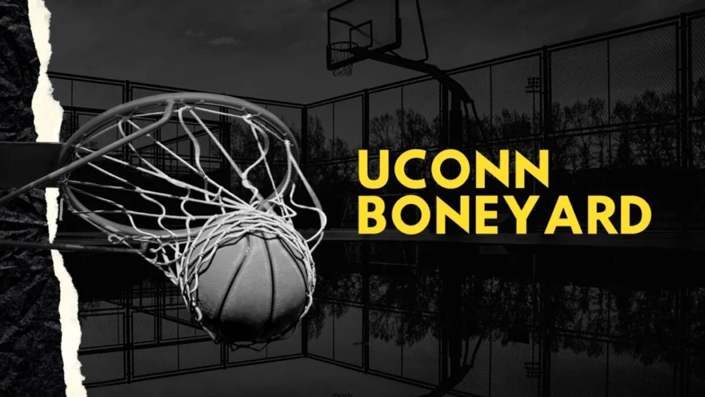 If you’ve ever wandered through the University of Connecticut's (UConn) campus, you might have stumbled upon a "Exploring the UConn Boneyard"