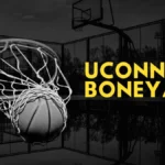 If you’ve ever wandered through the University of Connecticut's (UConn) campus, you might have stumbled upon a "Exploring the UConn Boneyard"